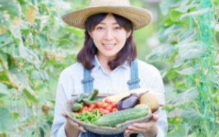 東京から電車で1時間以内にある野菜の収穫が体験できる農園の収穫の様子