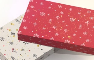 東京駅で人気のお土産ナナナの期間限定パッケージの写真です。赤色と白色の2色展開です。