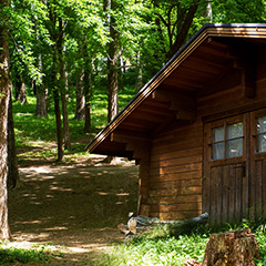 代替えテキスト：森の木々に囲まれたロッジ風の探検基地の写真